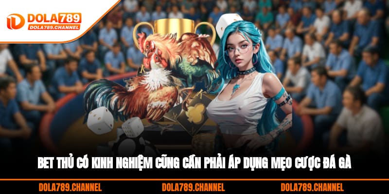 Bet thủ có kinh nghiệm cũng cần phải áp dụng mẹo cược đá gà