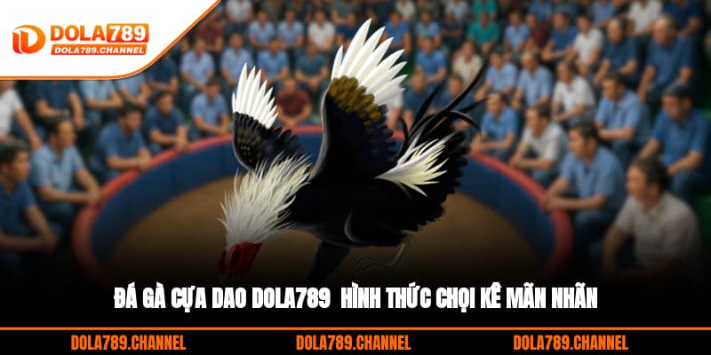 Đá Gà Cựa Dao DOLA789 - Hình Thức Chọi Kê Mãn Nhãn Đá Gà Cựa Dao DOLA789 - Hình Thức Chọi Kê Mãn Nhãn