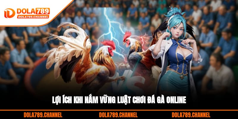 Lợi ích khi nắm vững luật chơi đá gà online