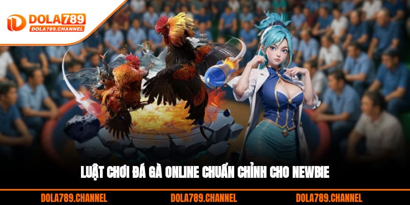 Luật chơi đá gà online chuẩn chỉnh cho newbie