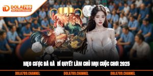 Mẹo Cược Đá Gà - Bí Quyết Làm Chủ Mọi Cuộc Chơi 2025