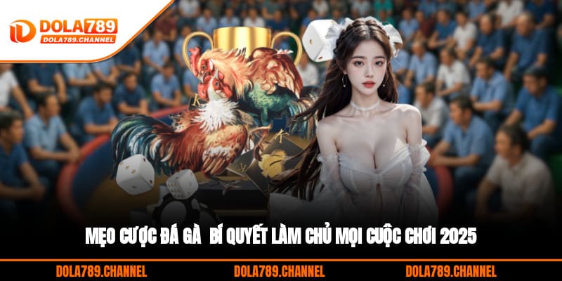 Mẹo Cược Đá Gà - Bí Quyết Làm Chủ Mọi Cuộc Chơi 2025