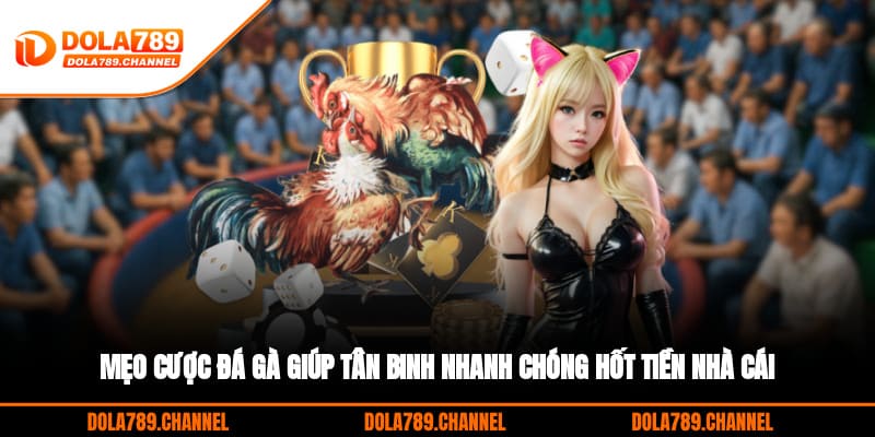 Mẹo cược đá gà giúp tân binh nhanh chóng hốt tiền nhà cái