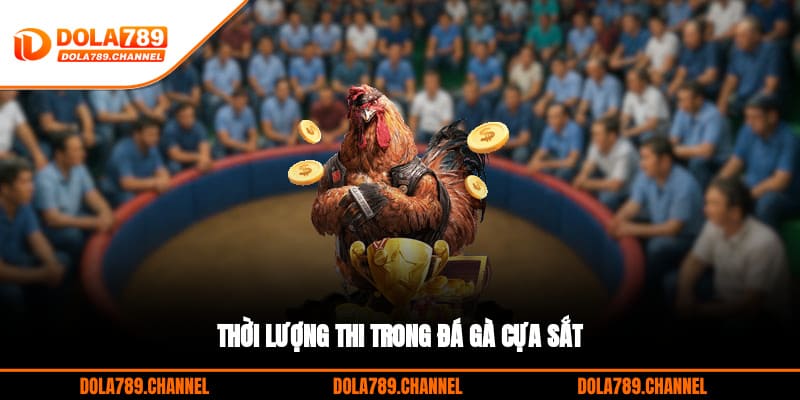 Thời lượng thi trong đá gà cựa sắt