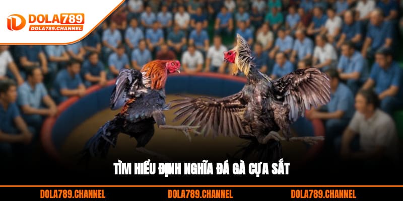 Tìm hiểu định nghĩa đá gà cựa sắt