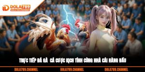 Trực Tiếp Đá Gà - Cá Cược Kịch Tính Cùng Nhà Cái Hàng Đầu