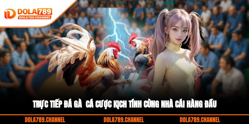 Trực Tiếp Đá Gà - Cá Cược Kịch Tính Cùng Nhà Cái Hàng Đầu