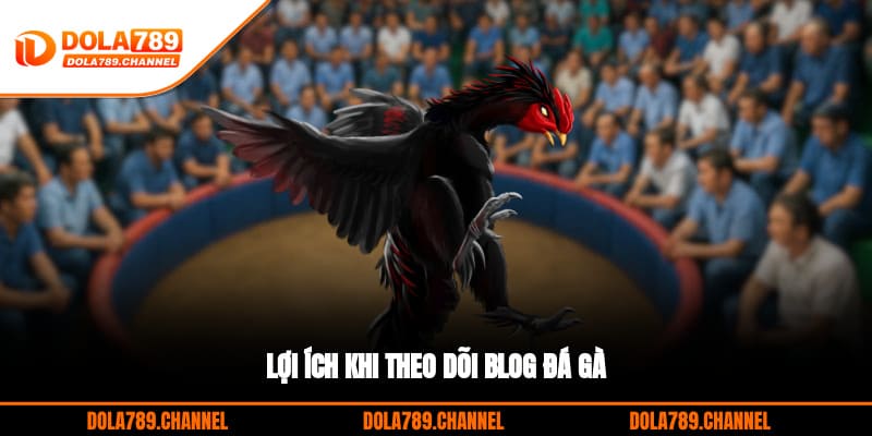 Lợi ích khi theo dõi Blog đá gà