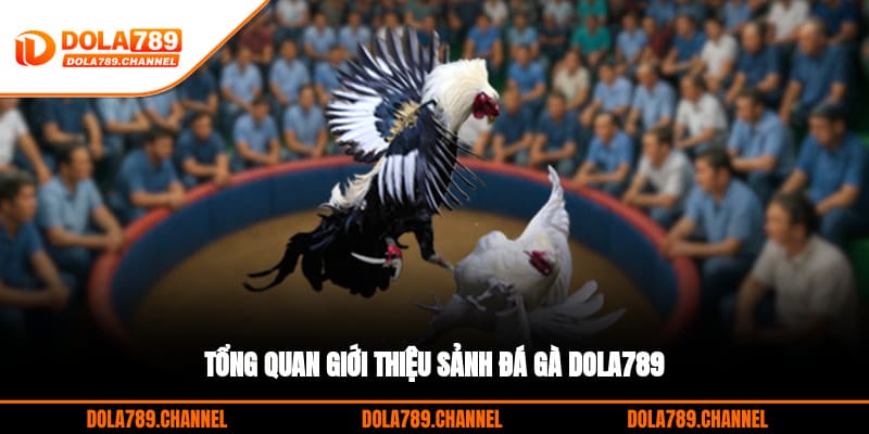 Tổng quan giới thiệu sảnh đá gà DOLA789